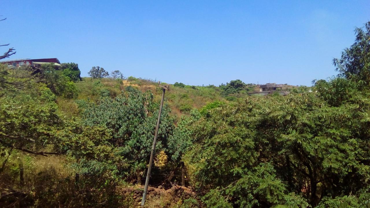 Hotel Tree Top Mahābaleshwar Buitenkant foto