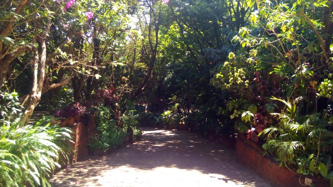 Hotel Tree Top Mahābaleshwar Buitenkant foto