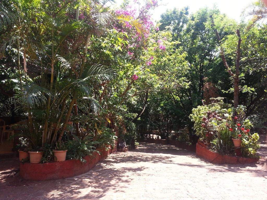 Hotel Tree Top Mahābaleshwar Buitenkant foto